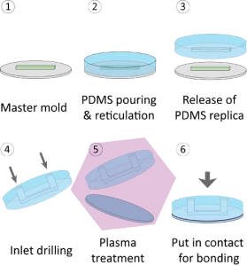 Molding-process-of-single-layer-PDMS-microfluidic-device-279x300.png