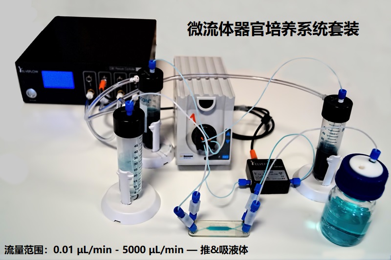 recirculating-perfusion-microfluidic.jpg