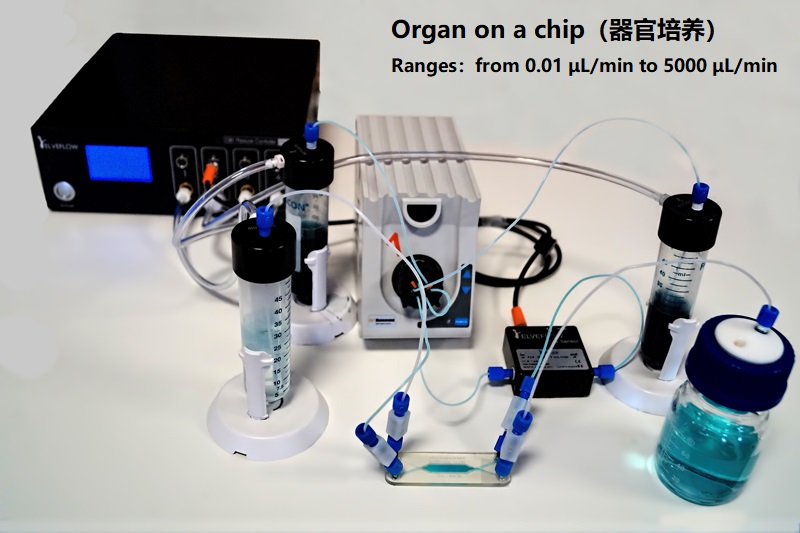 Organ-on-chip-pack.jpg