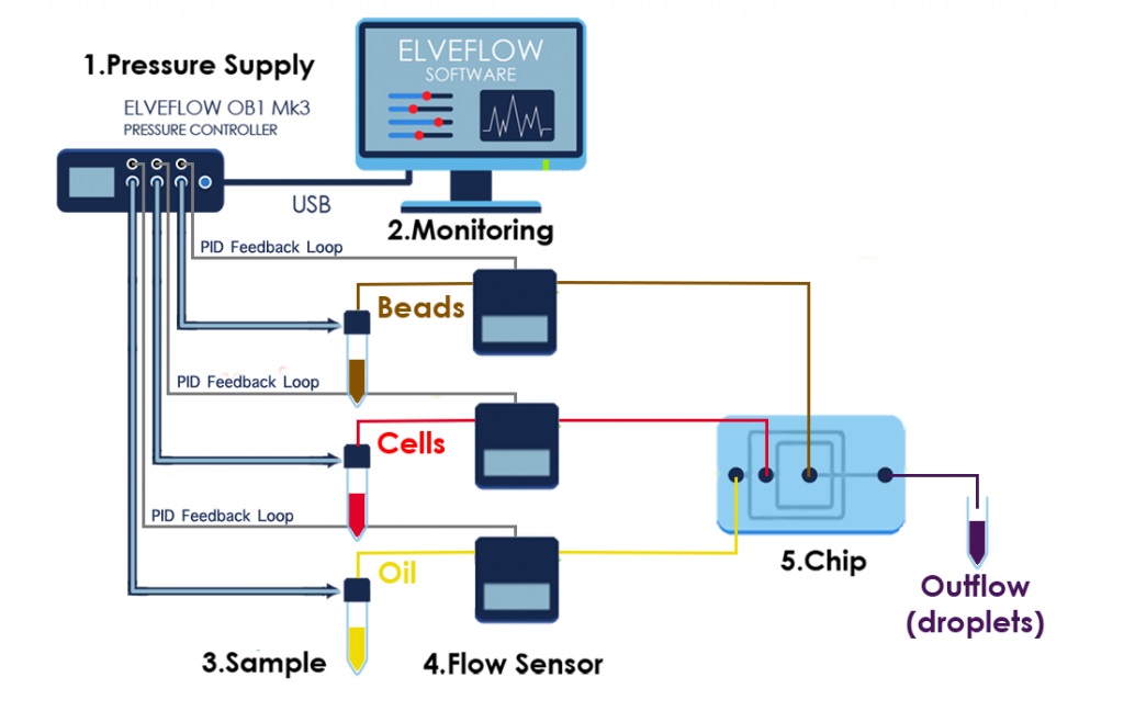 Set-up-diagram-microfluidic-chip-drop-seq-microfluidics-single-cells-analysis-ARN-AND-barcode-complex-tissue1-1024x648.jpg