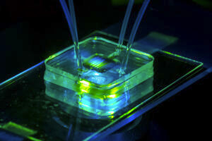 Materials-for-Microfluidic-Chips-Fabrication-300x200.jpg