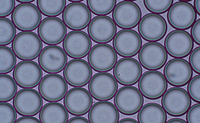 02_ALGINATE_DROPLETS_GENERATION_PACK_ELVEFLOW_MICROFLUIDICS.jpg