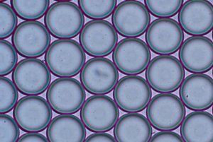 alginate-beads-generation-experiment-results-droplets-elveflow-microfluidics-300x201.jpg