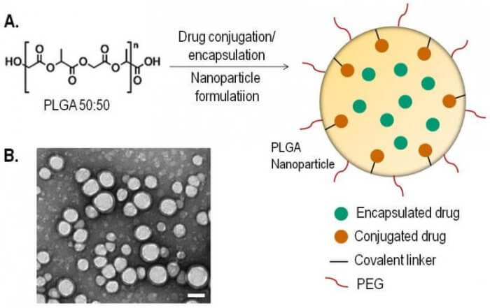 PLGA-nanoparticle-e1601651296956.jpg