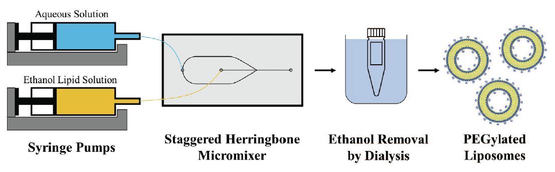 Herringbone_Mixer_Liposomes_-_Darwin_Microfluidics_6a9d0eac-faa9-4051-a444-bf099fcd2d1f.jpg