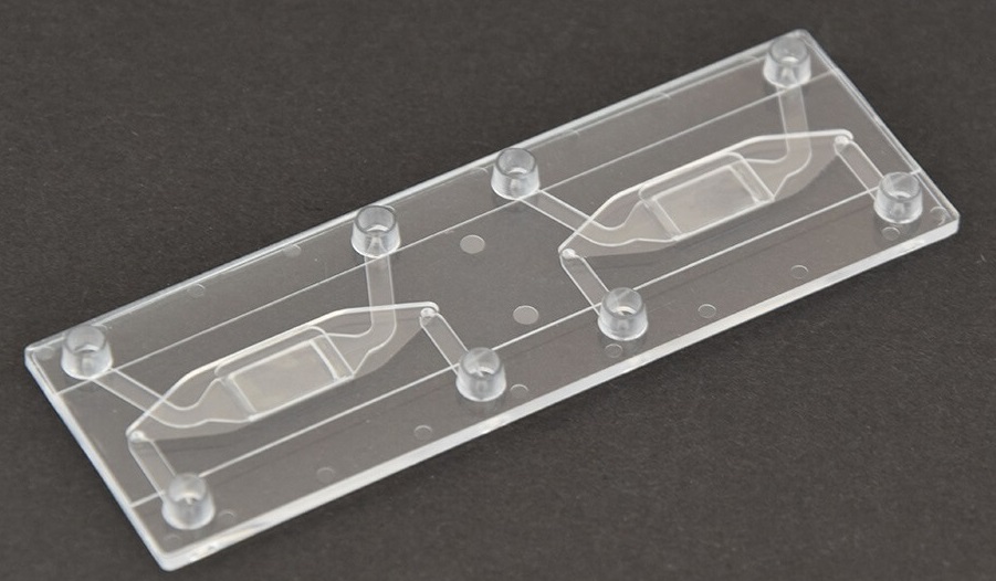 Endothelial-cell-Pilot-Pack-chip.jpg