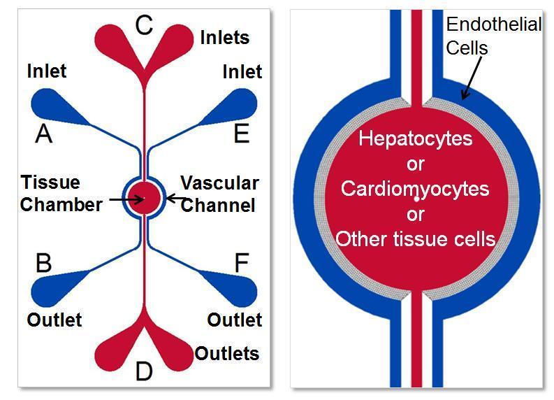 schematic_toxicology_chip.jpg