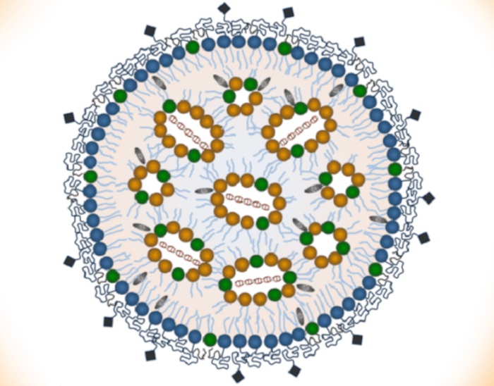 Lipid-nanoparticle.jpg