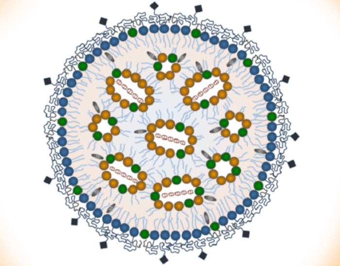 Lipid-nanoparticle.jpg