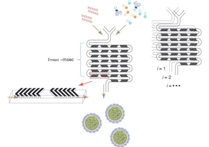 lipid-nanoparticle-synthesis-title.jpg