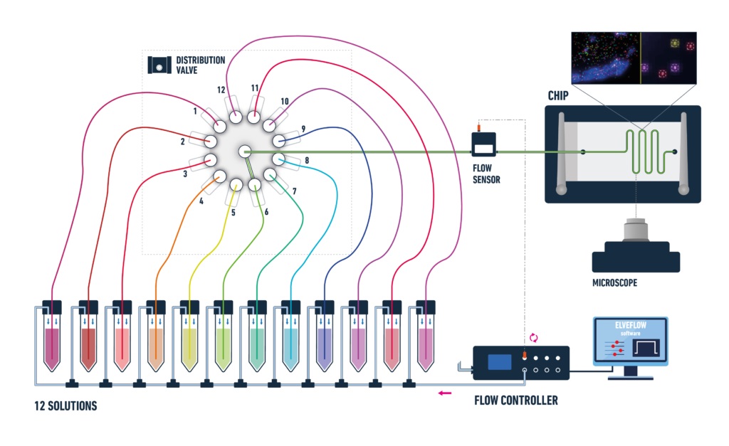 MUX_DISTRIBUTION_SEQFISH_PACK_MICROSCOPE_ELVEFLOW-1024x627.jpg